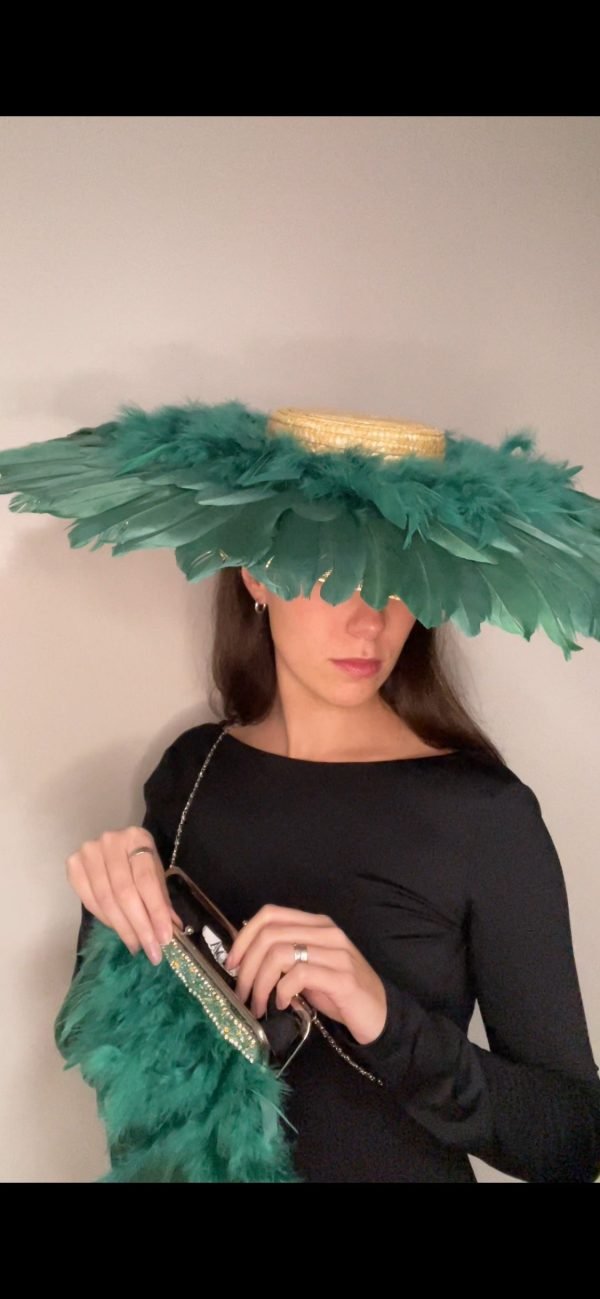 Pamela de plumas ala ancha